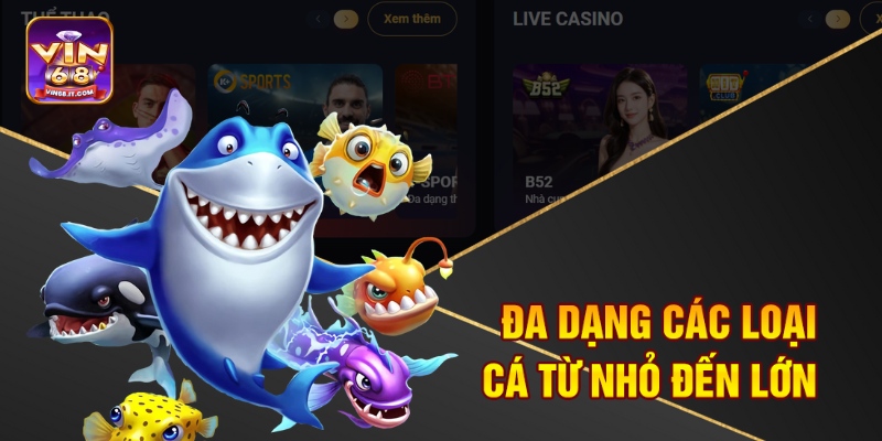 Bắn Cá Siêu Thị Đổi Thưởng Vin68 – Săn Cá Đổi Quà Cực Đã 2 Đa dạng các loại cá từ nhỏ đến lớn